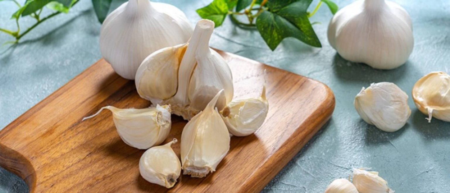 Benefits of Garlic