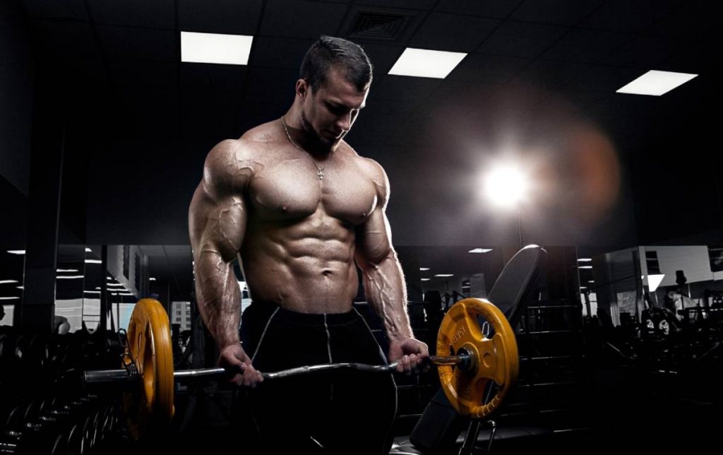For Fitness Professionals, The Top 6 Sarms Stand Out The Most.