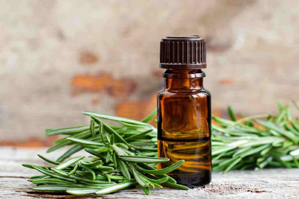 Traditional Hair Growth Ingredients