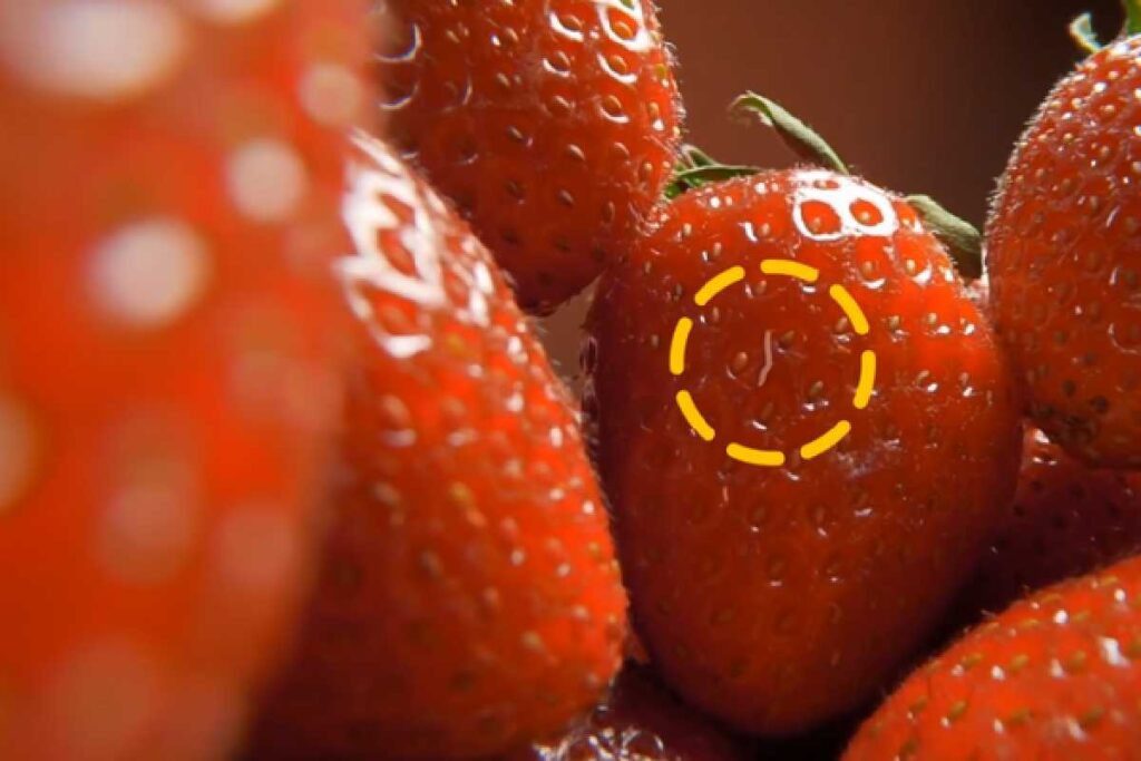 Strawberry Worms