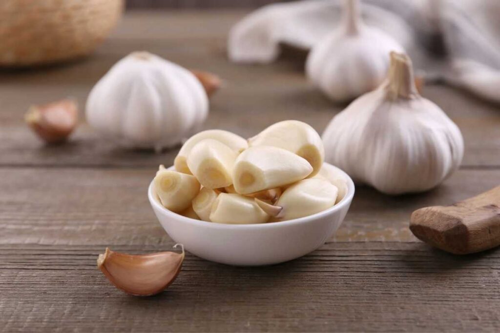 Benefits of Garlic Uses and Side Effects