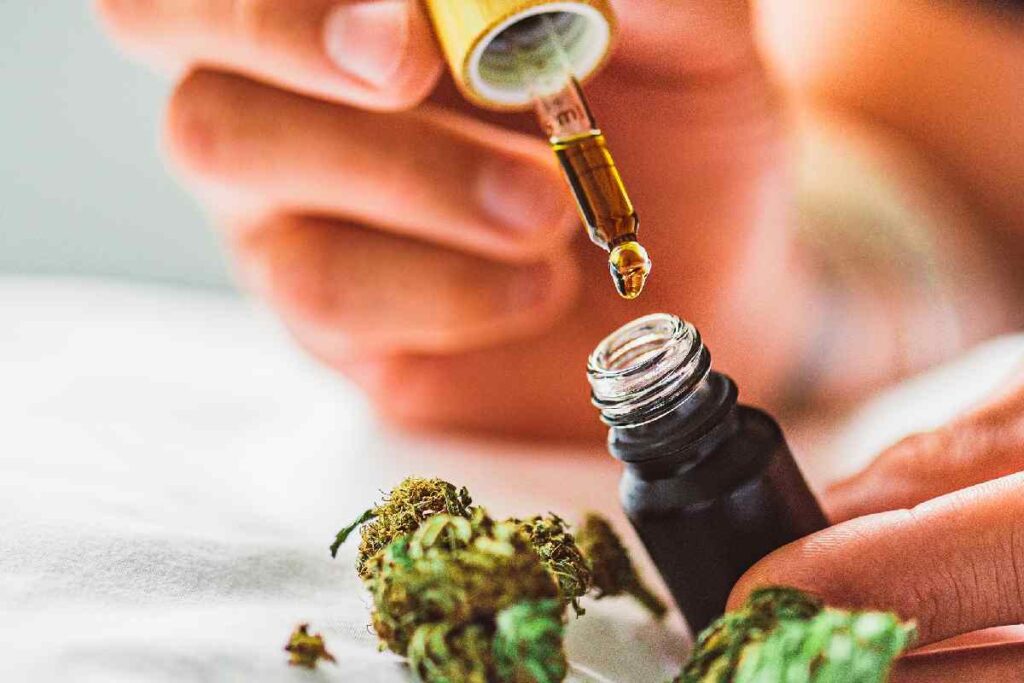 CBD Oil: Tips To Purchase A Good CBD Oil
