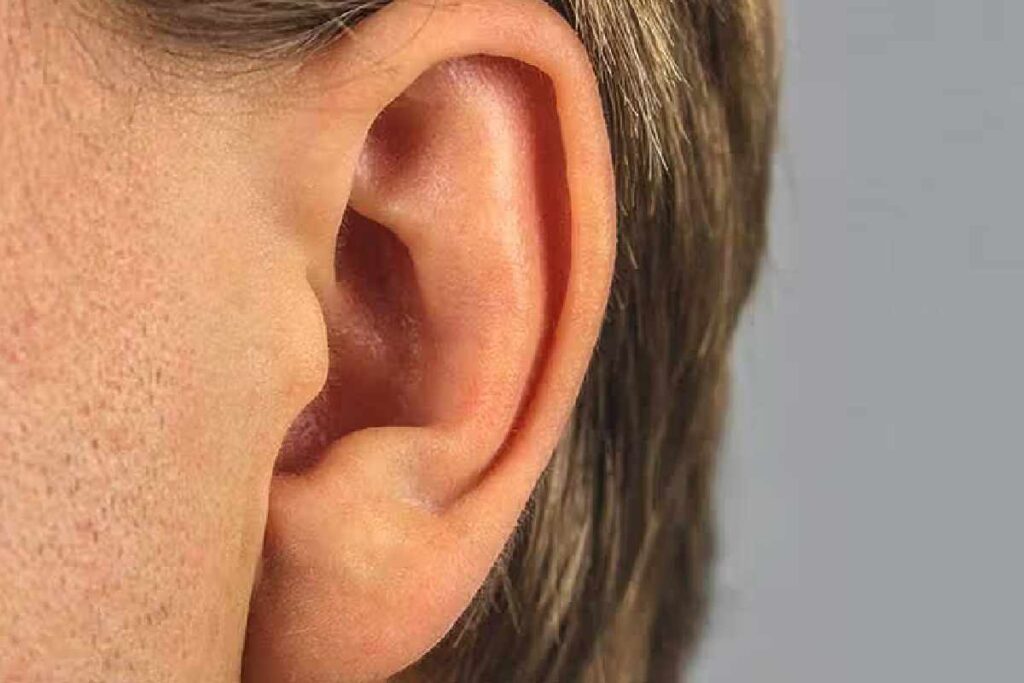 Ear Blowout Ganges