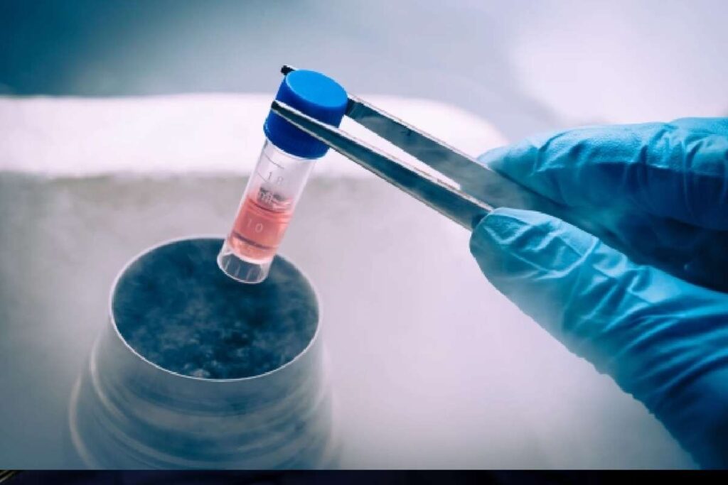Egg Freezing: Risks and Benefits