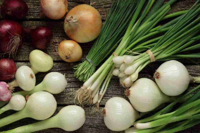Is Onion a Vegetable