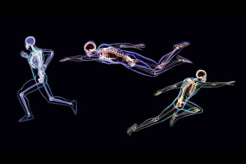 The Effect of Sport on Human Health