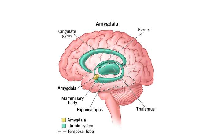Measuring Resilience