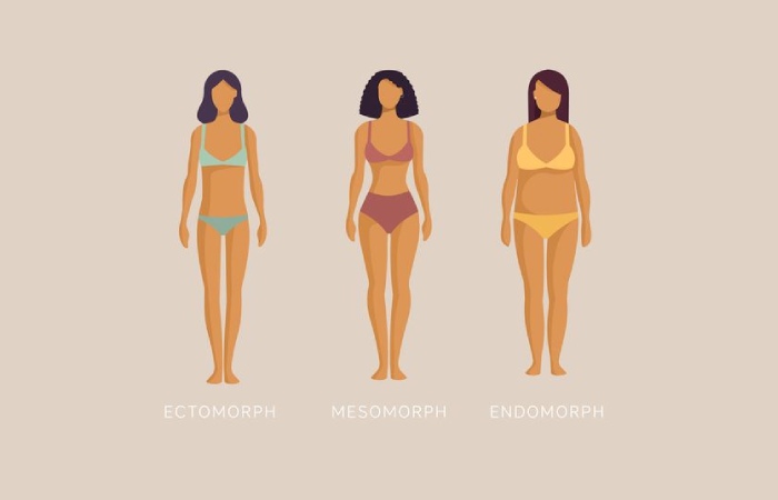 Types of Thigh Fat and Body Composition
