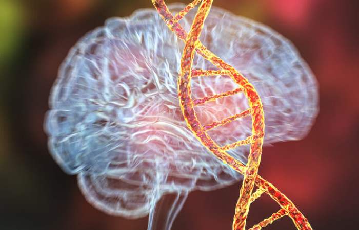 Depression Is Genetic