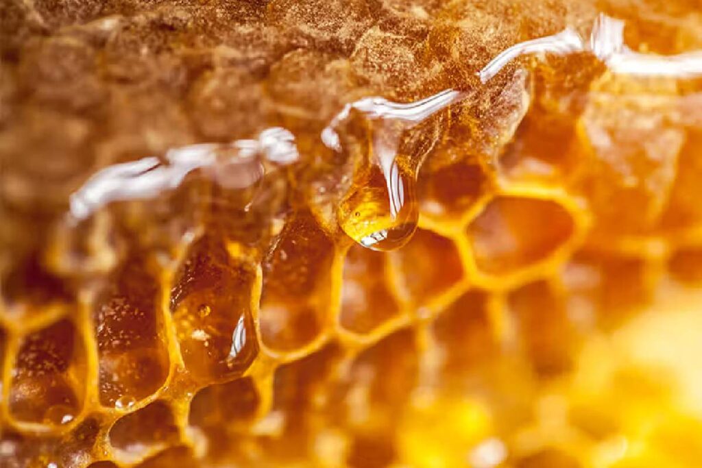 The 8 Benefits Of Eating Some Honey Every Day Honey