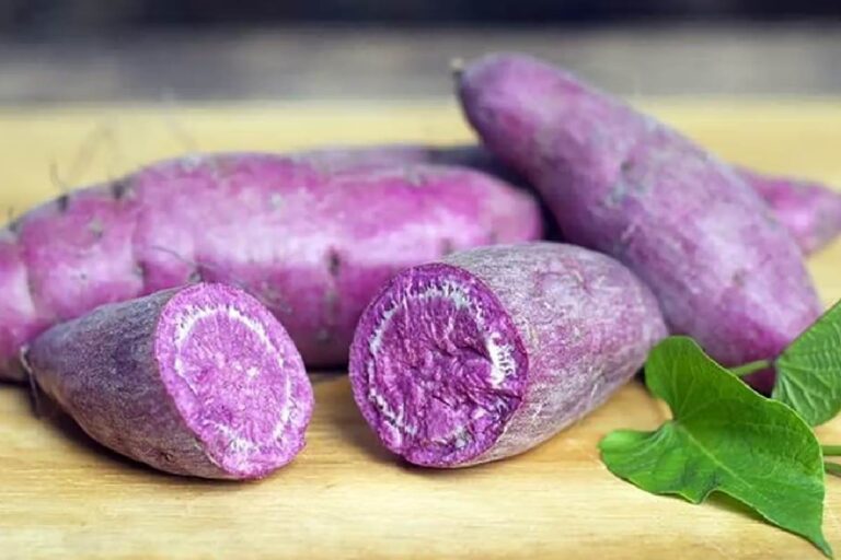 Ube Purple yam